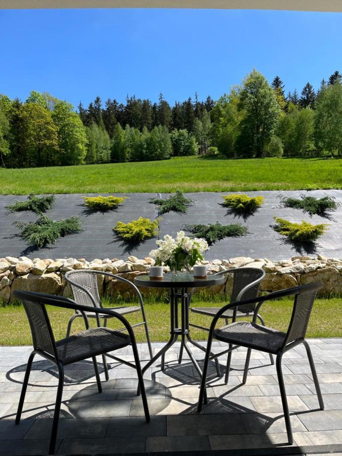 Apartament Na Wzgorzu 1, Sauna, Ebike, Las, Widok - 5D Apartamenty Swieradow-Zdroj Luaran gambar